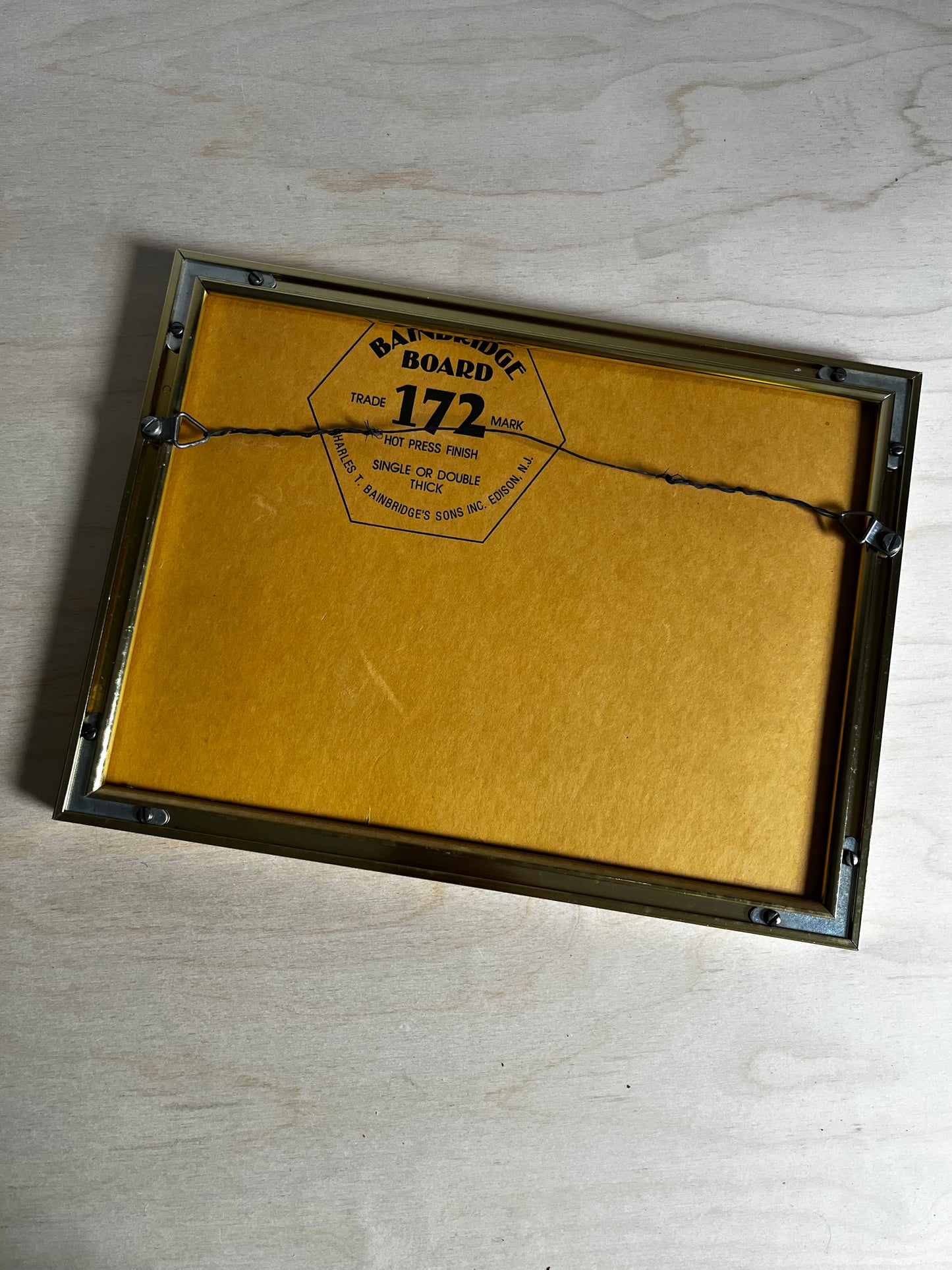 Framed Wildlife Photograph