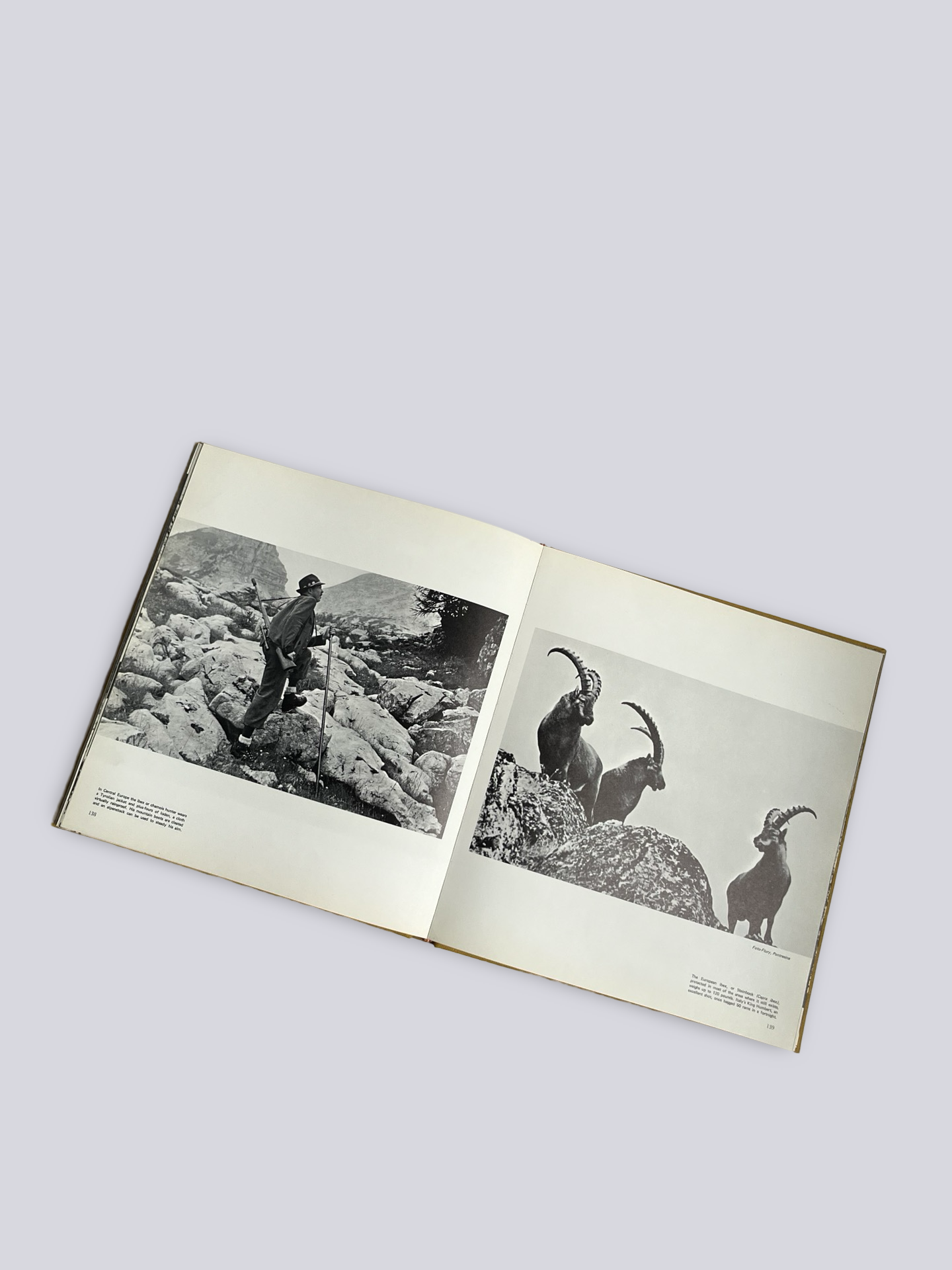 Great Game Animals of the World | Vintage book