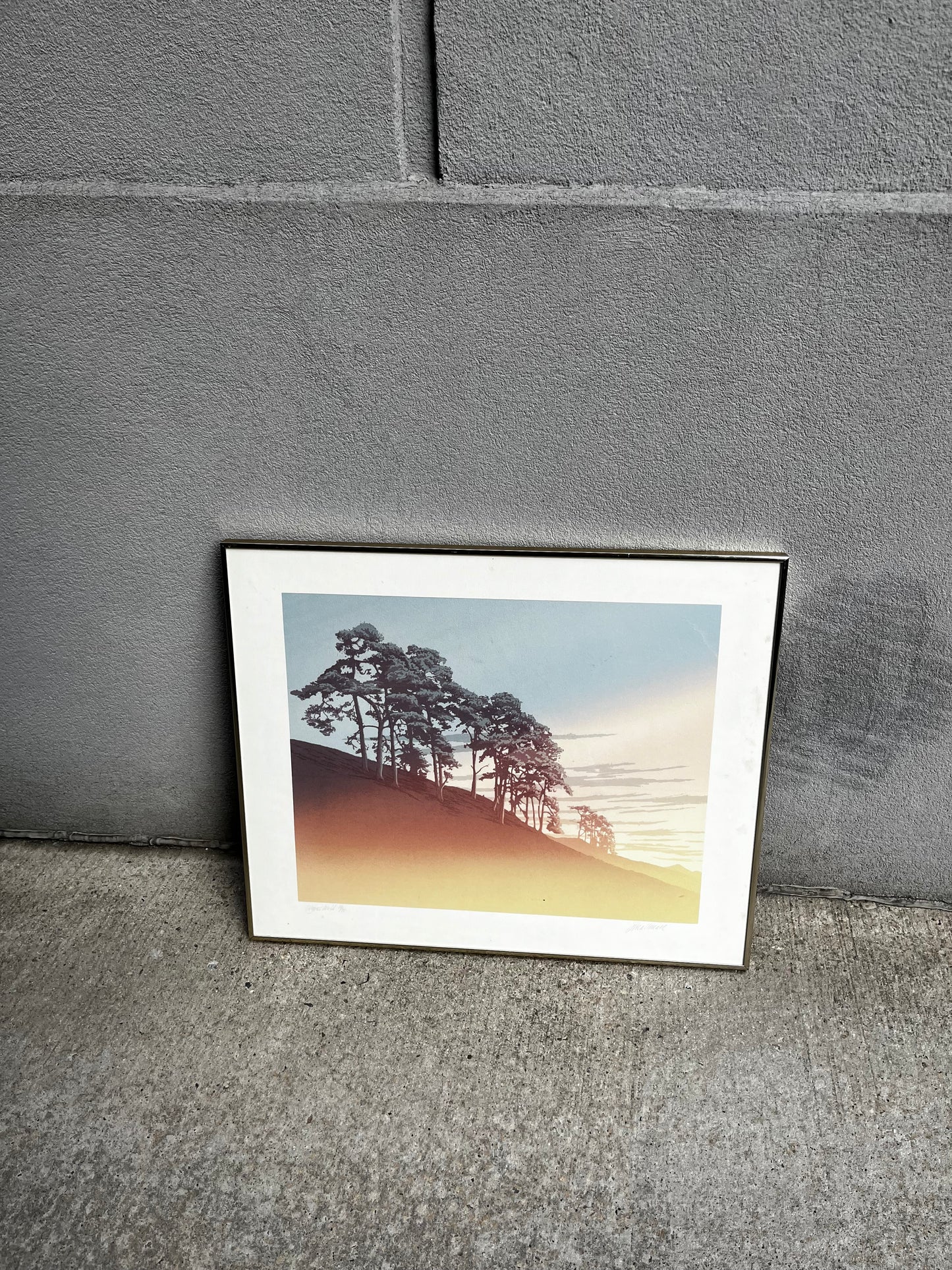 Roy Smallman Lithograph | Signed, marked and framed
